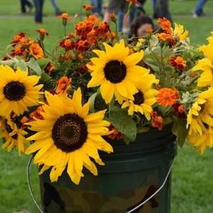 Meet your Posher, Carolyn